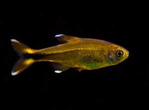 7070413071_f71b921554